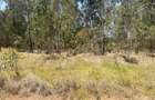 500 m² Land at Ruiru-Githunguri Road - 14