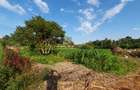 1.25 ac Land in Nyari - 1