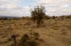 Land at Lorogoswa - 13