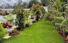 7 Bed Townhouse with En Suite in Karen - 2