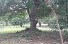 4,047 m² Land in Nyali Area - 1