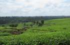 Commercial Land at Kiambu Road - 6
