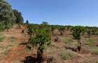 Land in Tatu City - 3
