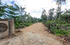 0.0405 ha Residential Land at Galu Beach Diani Beach Road - 15