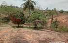 2.41 ac Land at Makonde Rd - 9