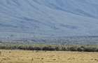 1 ac Land in Naivasha - 1