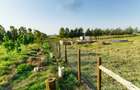 0.125 ac Residential Land in Naivasha - 2