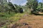 Land in Karen - 1