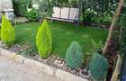 4 Bed Townhouse with En Suite in Syokimau - 2