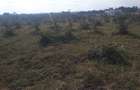 1 ac Land in Ongata Rongai - 2