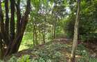 4 Bed House with En Suite in Gigiri - 9