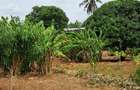 8 Bed House with En Suite at Kikambala - 16