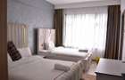 Serviced 4 Bed Apartment with En Suite at Lavington - 12