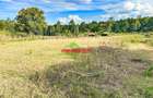 0.2 ha Land at Thogoto - 8