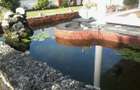 4 Bed Villa with En Suite at Greenwood Nyali - 7