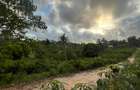 0.75 ac Land at Ls139 - 3