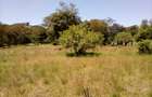 Residential Land at Off Forest Edge Rd - 8