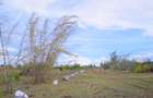 0.25 ac Land at Off Namanga Road - 20