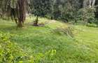 7 Bed House with En Suite at Muthaiga - 10