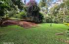 4 Bed House with En Suite at Spring Valley - 15