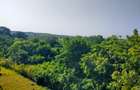 20 ac Land at Kuruwitu Beach Road - 2