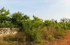 Land in Diani - 9