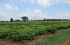 Commercial Land at Kiambu Road - 10