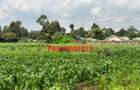0.4 ha Land at Tilisi - 6