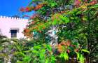 4 Bed House with En Suite at Aloo Drive- Mtwapa Creek - 3