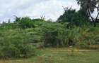 Land at Tiwi Near Diani South Coast - 3