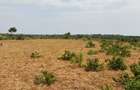Land in Kilifi - 8