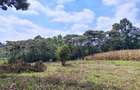 Land in Karen - 4