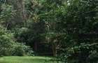 Land at Windy Ridge - 4