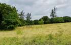 Land at Kilifi Town - 14