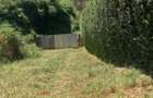 0.5 ac Residential Land at Muthithi - 17