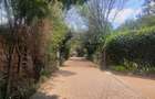 3 Bed House with Staff Quarters in Lavington - 2