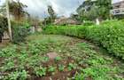 3 Bed House with En Suite in Ongata Rongai - 9