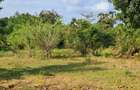 Land at Tiwi Near Diani South Coast - 15