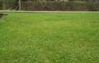 Commercial Property with Parking in Lavington - 5