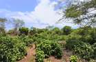 Residential Land at Galu - 5