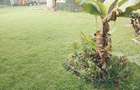 1 Bed House with En Suite at Karen - 4