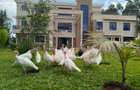 7 Bed House with En Suite in Karen - 1
