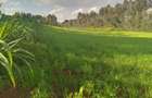 Land at Kibirichia - 1