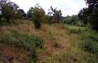 Land at Wangige - 8