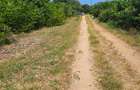 7 ac Land at Shanzu - 5