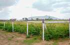 Land in Naivasha - 2