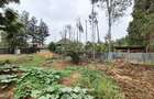 0.25 ac Land at Stream Drive - 6