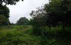 Commercial Land at Redhill Road - 12