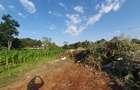 1.25 ac Land in Nyari - 5