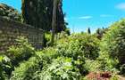 Land at Diani Beach Rd - 2